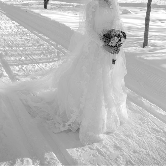 Pronovias LACE A-Line Wedding Dress - Picture 3 of 6
